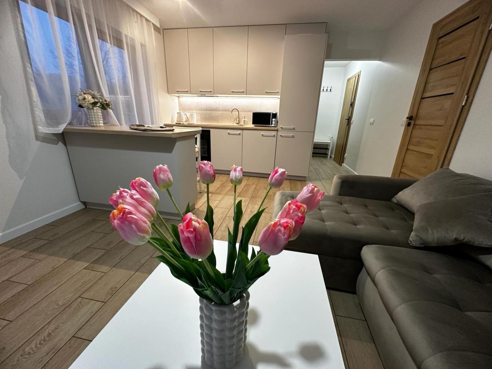 Apartamenty Biala Gran Zakopane Esterno foto