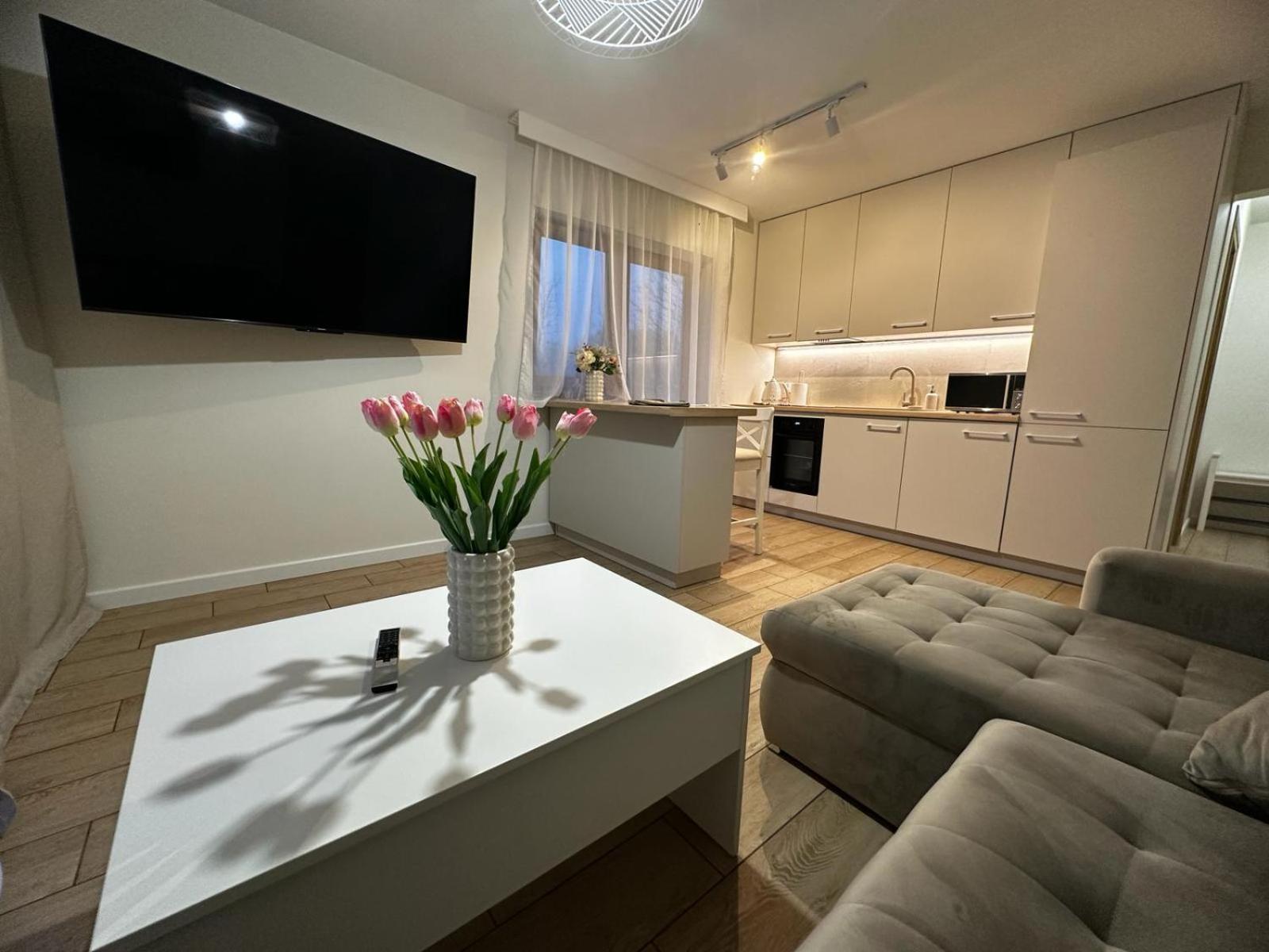 Apartamenty Biala Gran Zakopane Esterno foto